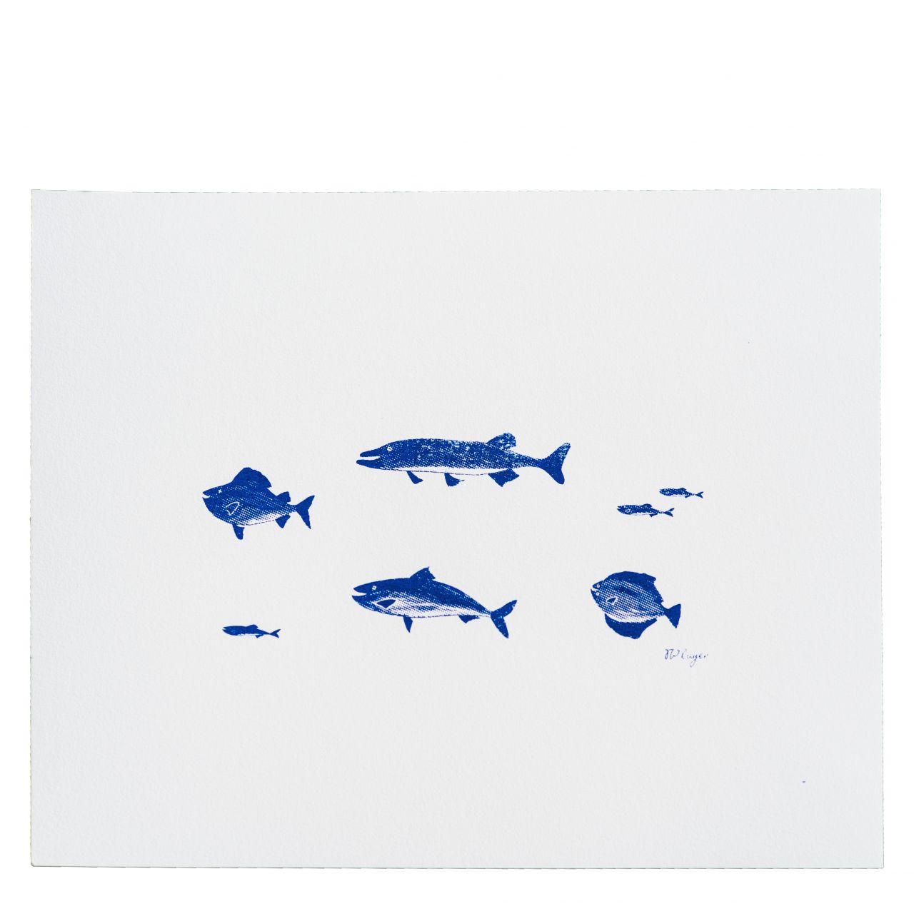 Thom Wilcke Siebdruckbild „Fische, blau" ohne Rahmen